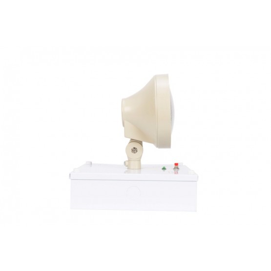 Emergency Luminaire