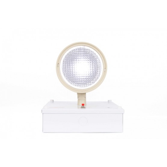 Emergency Luminaire