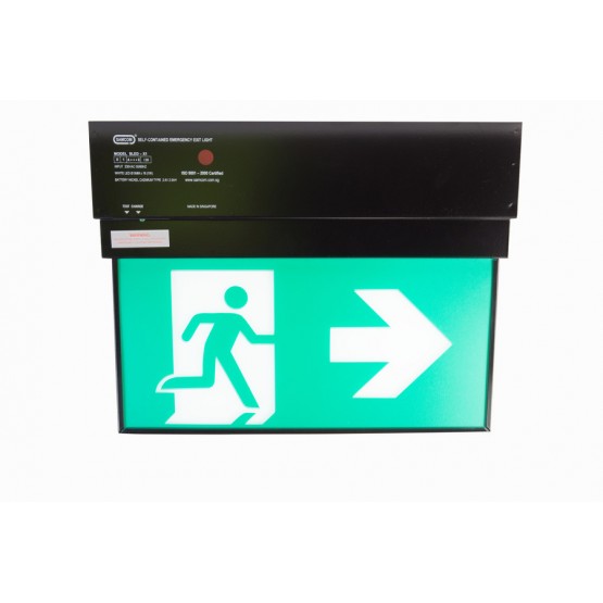 Emergency Luminaire with Exit Sign