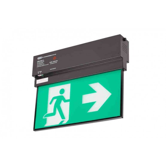 Emergency Luminaire with Exit Sign