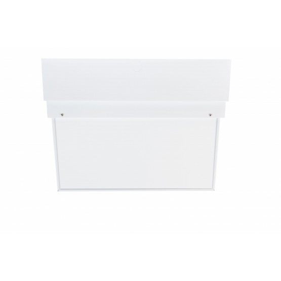 Emergency Luminaire with Exit Sign