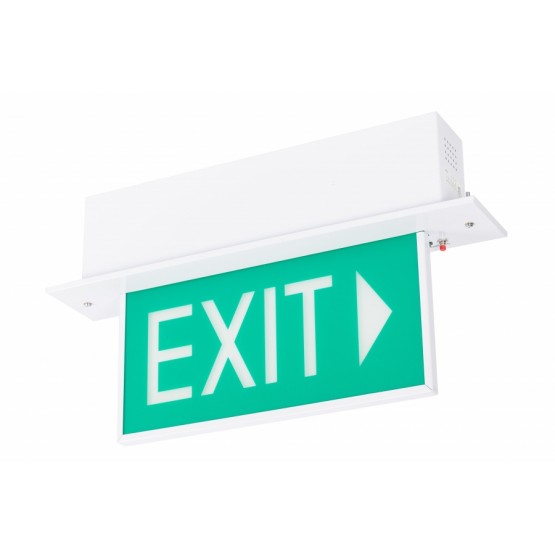 Emergency Luminaire with Exit Sign